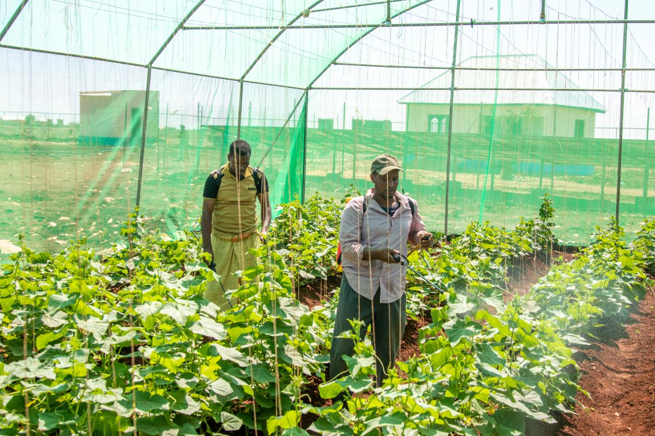 Système d'irrigation moderne